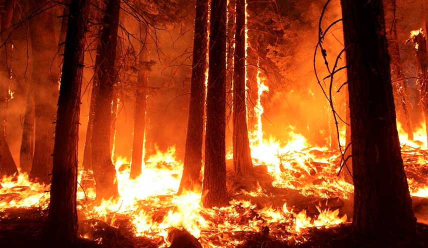 El incendio se extendió por aproximadamente 590.000 hectáreas