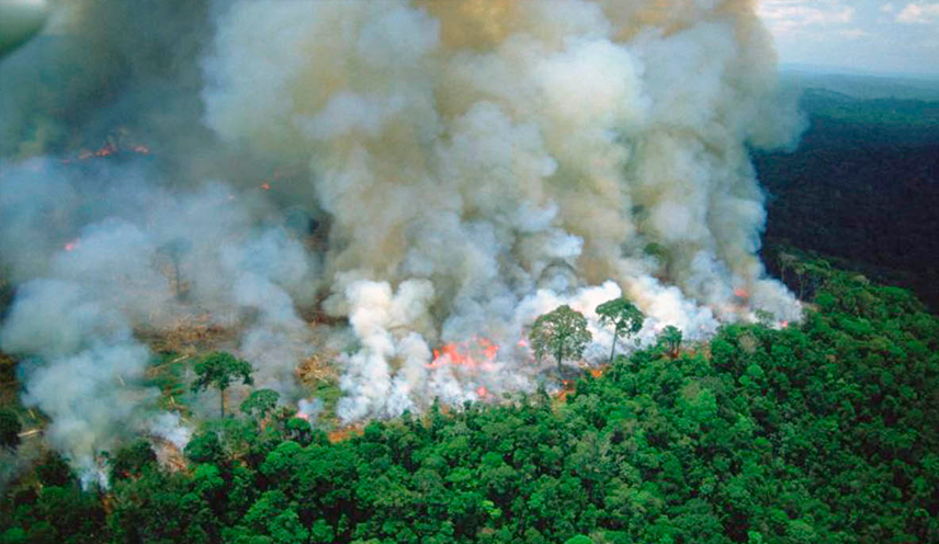 Parte de la selva del Amazonas quemada para ser “replanificada”