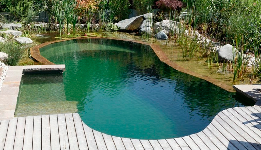 ¿Cómo funciona una piscina biológica, natural o ecológica?