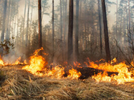 Los incendios en California