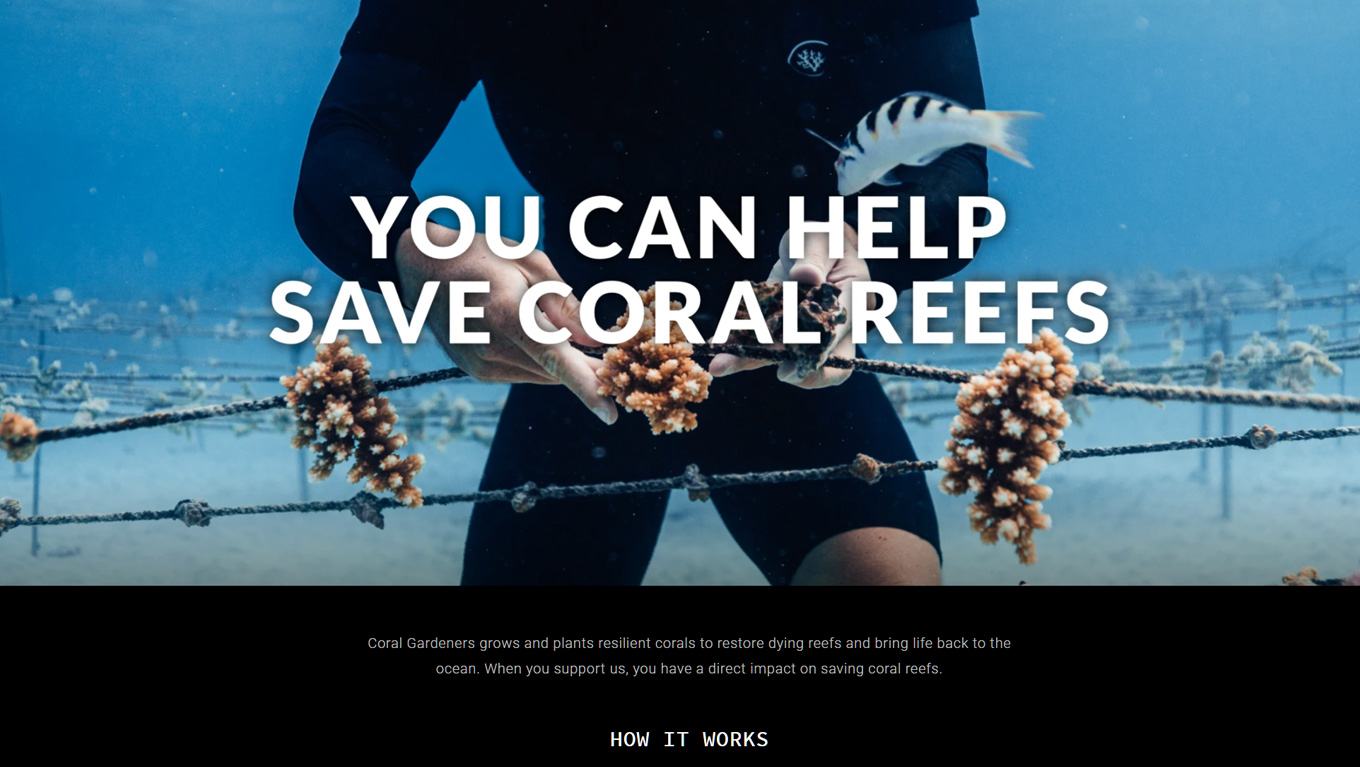 Adopta un coral con los jardineros de coral en Tahití