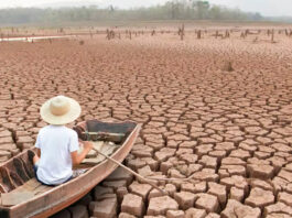 ¿El cambio climático amenaza la paz mundial en un futuro inmediato?