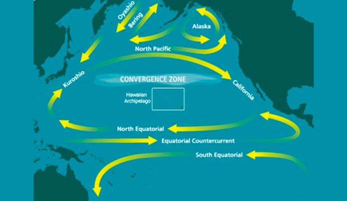 ¿Qué es la Gran Isla de Basura del Pacífico?