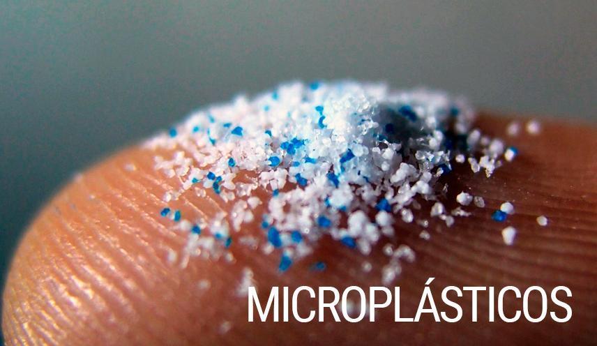 Microplásticos en la cadena alimenticia
