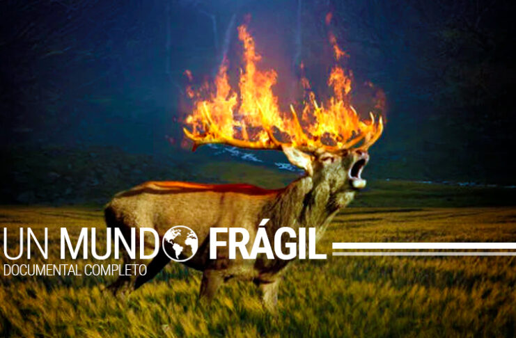 Un Mundo Frágil | Planet DOC