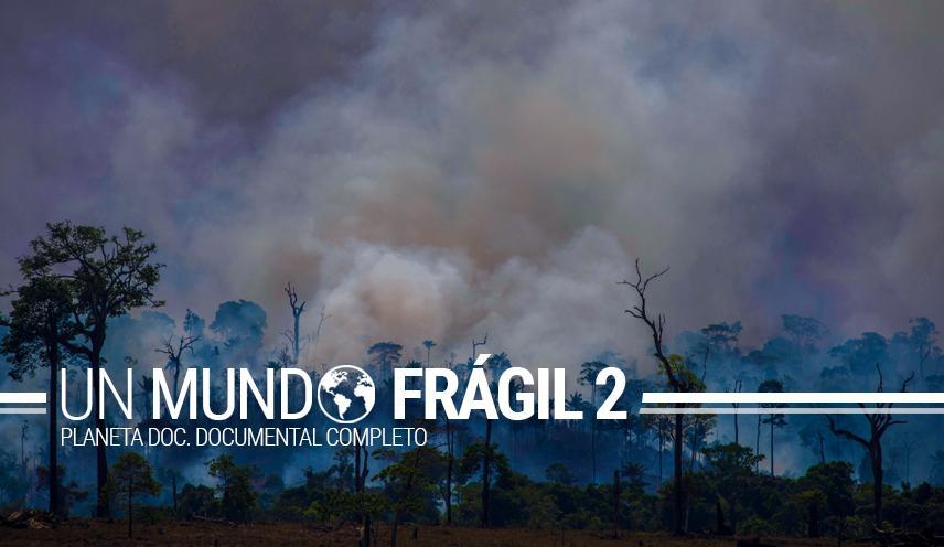 Selvas Tropicales Un Mundo Frágil 2 Documental