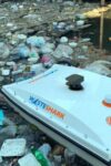 “WasteShark” un dron con forma de tiburón que devora basura
