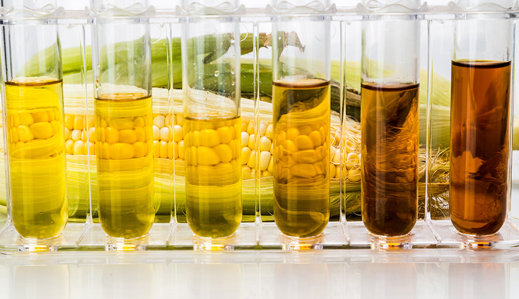 El bioetanol es un combustible limpio y de bajas emisiones pero ¿tiene inconvenientes?