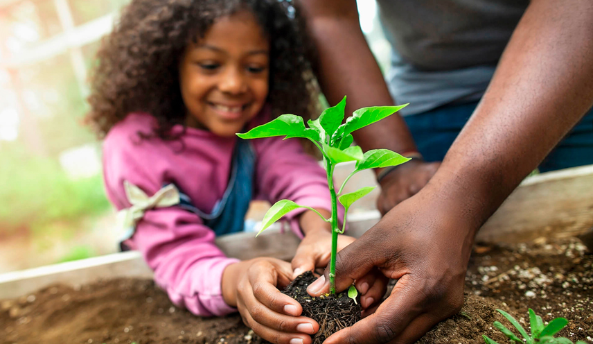 ¿por Qué Cuidar La Naturaleza Explicado Para Los Niños… Intelligence Survival