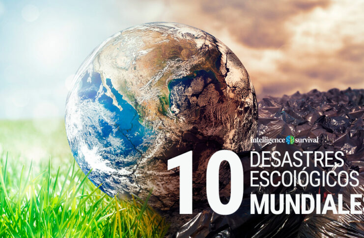 10 Grandes atentados ecológicos