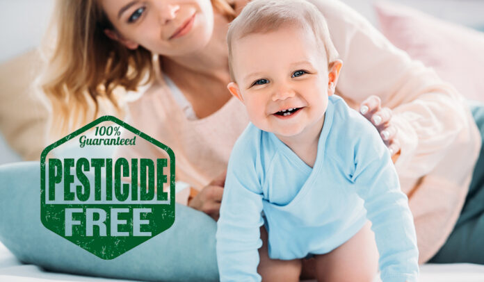Alerta en casa: El uso de pesticidas podría perjudicar el desarrollo psicomotor de tus hijos