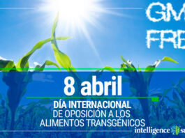 Día Internacional de Oposición a los Alimentos Transgénicos