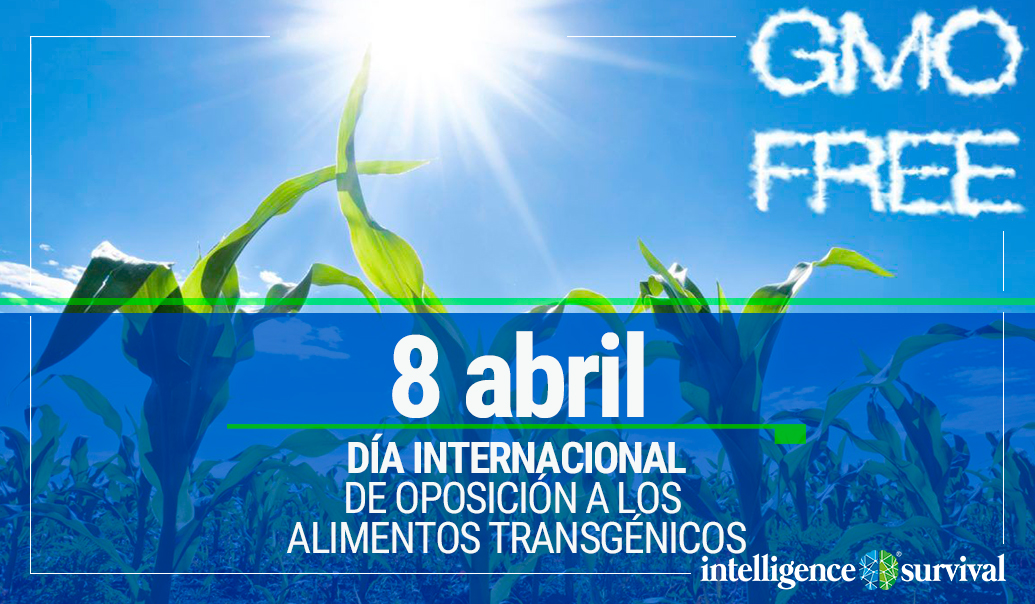 Día Internacional De Oposición A Los Alimentos Transgénicos Intelligence And Survival 0973