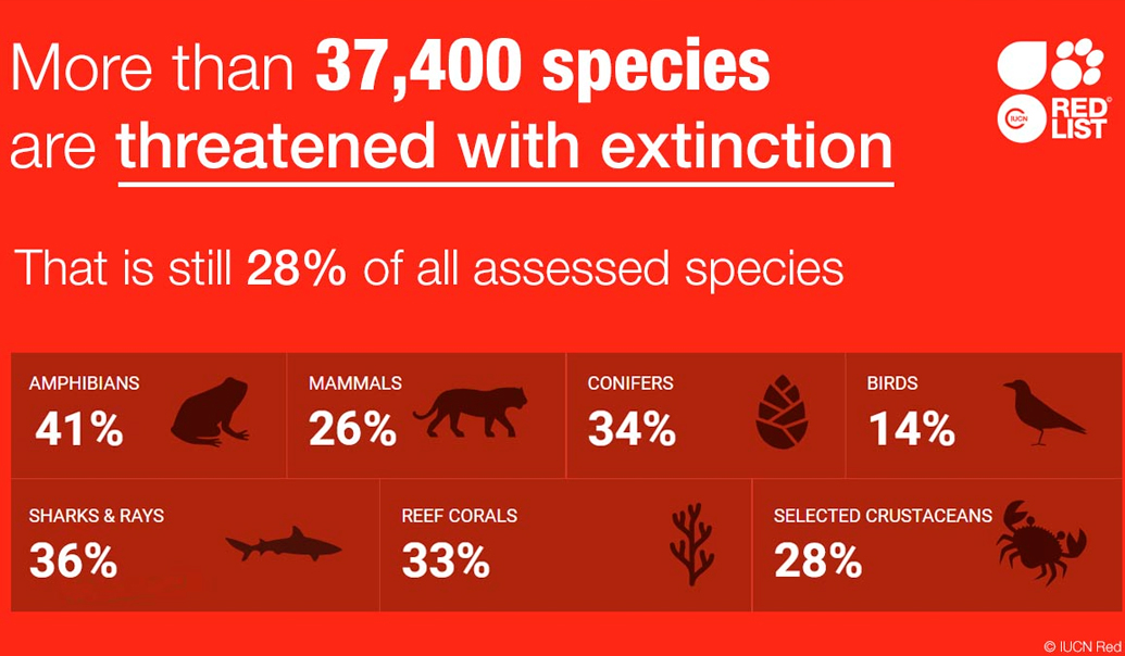 Lista Roja de Especies Amenazadas de la UICN