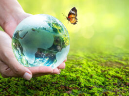 Uniendo fuerzas por un futuro sostenible: Celebrando el Día Mundial del Medio Ambiente