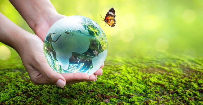 Uniendo fuerzas por un futuro sostenible: Celebrando el Día Mundial del Medio Ambiente