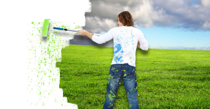 Pinturas ecológicas: una opción sostenible para embellecer tu espacio