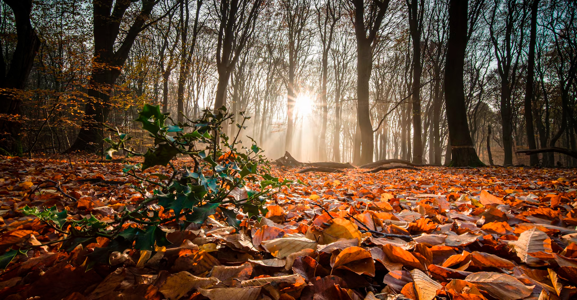 El equinoccio de otoño y su influencia en la vida moderna