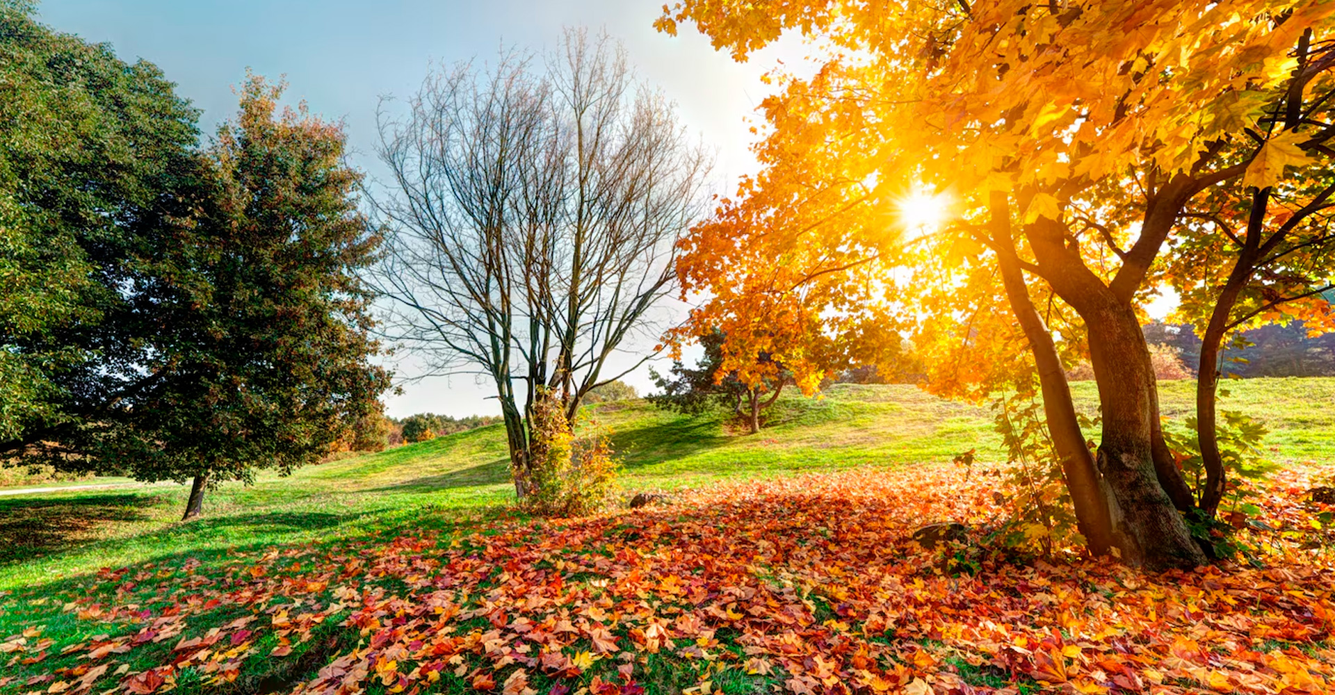 Impacto cultural del equinoccio de otoño