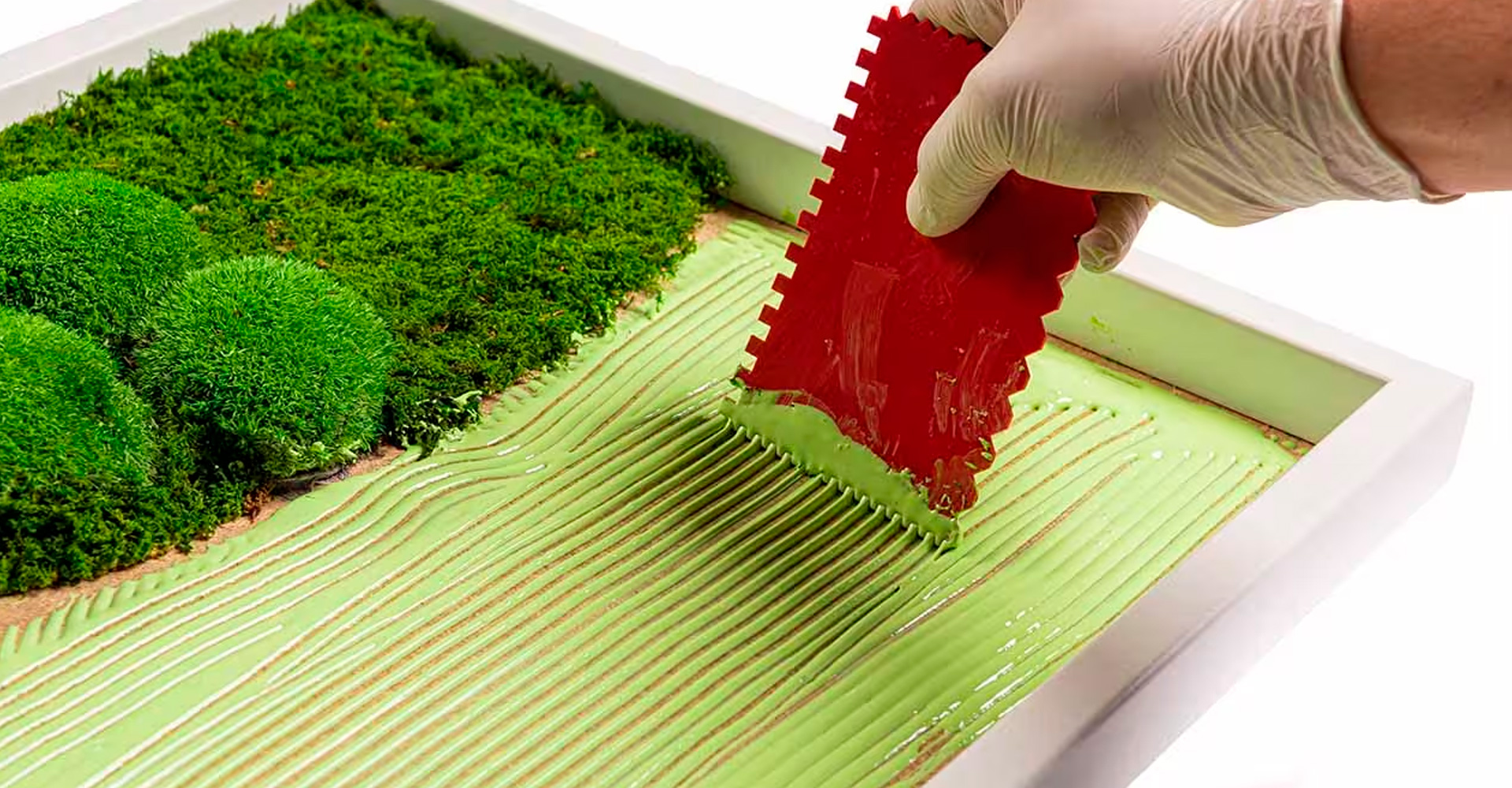 La elección saludable para un estilo de vida ecológico