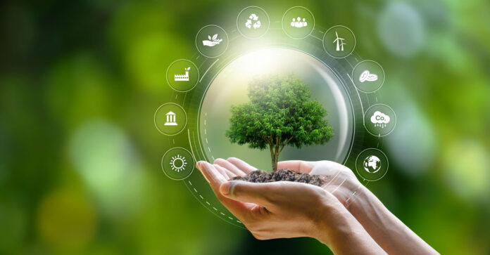 Restaurar el planeta: día mundial del medio ambiente 2025