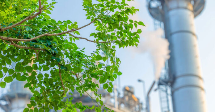 La Calderería Industrial, el corazón metálico de la revolución verde