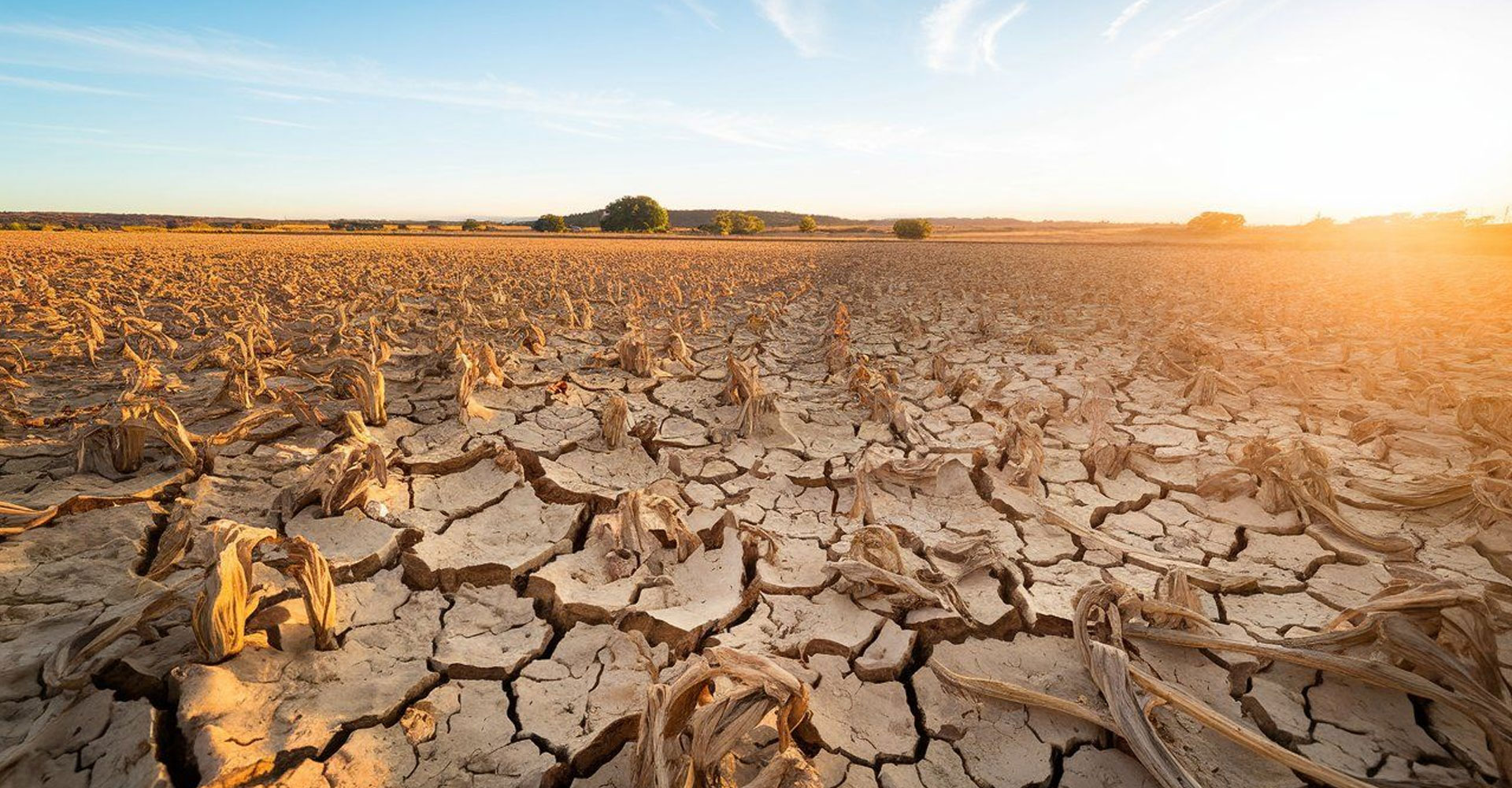 Día Internacional contra el Cambio Climático