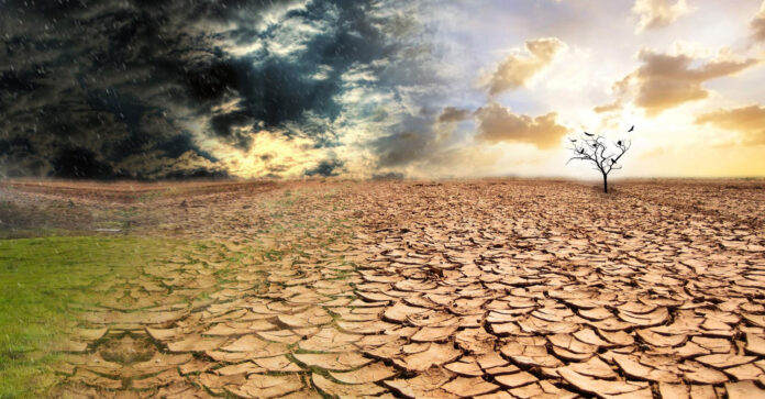 El planeta en alerta: día internacional contra el cambio climático, un llamado a la acción global