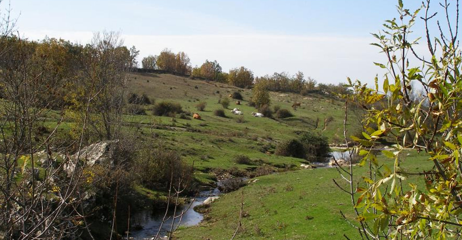 Celebraciones y reconocimiento ambiental Celebraciones y reconocimiento ambiental