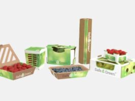 Smurfit Westrock transforma el futuro del envase hortofrutícola con soluciones diseñadas para cada reto de la cadena de valor